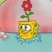 spongebob of shedtwt (jasmin) (@luxury_jas) 's Twitter Profile Photo spongebob of shedtwt (jasmin) (@luxury_jas) 's Twitter Profile Photo