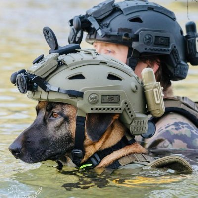 BakerAndy4's profile picture. The only way to do great work, is to love what you do.