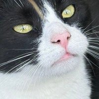 あいみ (@mokotoh25516) 's Twitter Profile