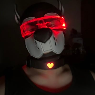 Devil_anxi's profile picture. 兰州 puppy一枚，无主