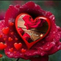 Basheer Alatapi (@q6w2hhrgdydlevq) 's Twitter Profile