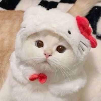 ❥팬さんのプロフィール画像