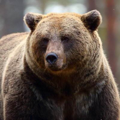 brighamparish's profile picture. ♱ • • ♱