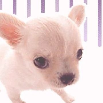 ⭐️Mr. Pronounsさんのプロフィール画像