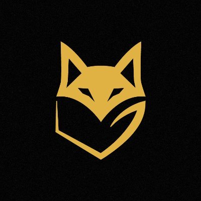 Ldfx_Foxxchain's profile picture. The blockchain that teaches before it trades | Powering @iam_LadyFoxx to build conviction before capital