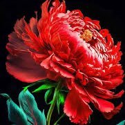 lover8888888888's profile picture. 