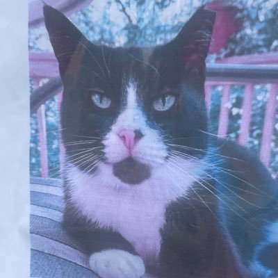 Marudlro's profile picture. ☮ ♥