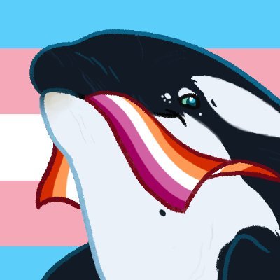 orlando ⚢ 🐬 🇵🇸 🔻さんのプロフィール画像