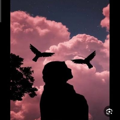 R6666b's profile picture. 💥💥