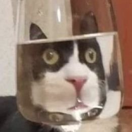 Oshibori66's profile picture. 