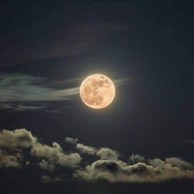 alalmayy1's profile picture. 