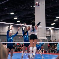Ava Rose (@avajanulewicz22) 's Twitter Profile