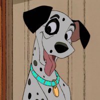 Duke Dalmatian (@duke101dalmati) 's Twitter Profile