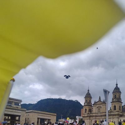 Me declaro CoColista. Creo en la en la ética y la democracia. Opino de polïtica por amor a mi país y por responsabilidad social.