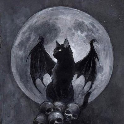 55V55i's profile picture. 