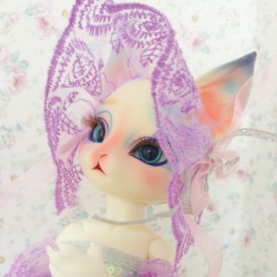 nyanco_doll's profile picture. 猫ドール好きです。コミュ障のため無言フォロー失礼します。