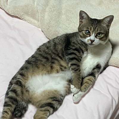けーすさんのプロフィール画像
