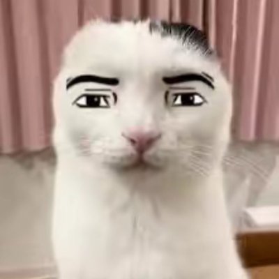 He/Him, Bi
NSFW reposts on my Alt: @StormCloud3000
I sometimes post Voxel art so that's cool ig
Check pinned post for bluesky acc
❤️STEM❤️