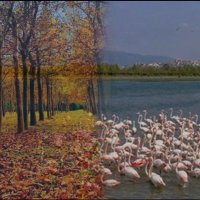 Gulcan (@gulcanoksuz82) 's Twitter Profile