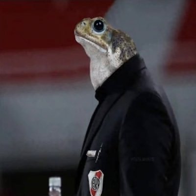 EMILIANO211579's profile picture. 