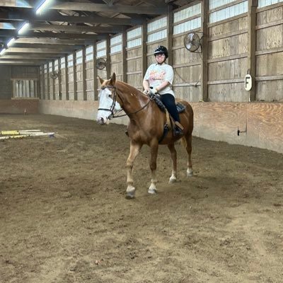 |31 years old|YSU c/o 2020|Catholic|I love musicals|Horses|Harry Potter|Star Wars|Disney|'80s movies|One Direction|
