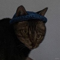 Ayatollah Feghouleini (@feghouliprv) 's Twitter Profile