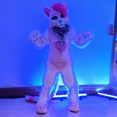 ♡ Ｎｅｋｋｏ ♡ -ただの猫-さんのプロフィール画像