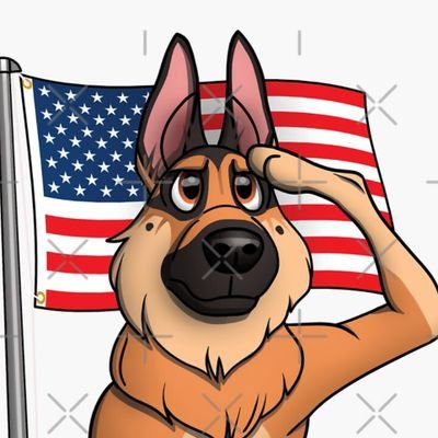 cutepurpose23's profile picture. Patriot with a purpose 
American Supremist         America First Activist