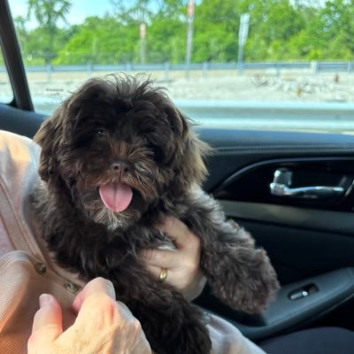 Corey45122674's profile picture. 