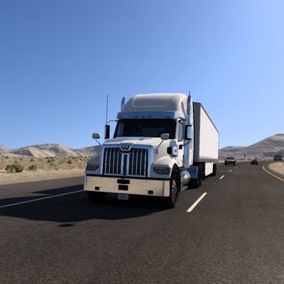 American truck simulator and Euro truck simulator gamer and Microsoft flight simulator ✈️ 🚛 and the sims 4