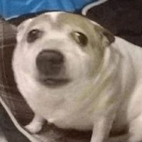 estudante de farmácia (@repoiha) 's Twitter Profile