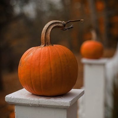 🕸️🎃 Halloween 🎃🕸️さんのプロフィール画像