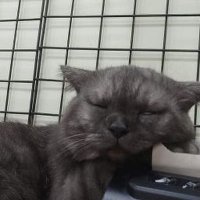 cleverlee1998 tom (@cleverlee159777) 's Twitter Profile