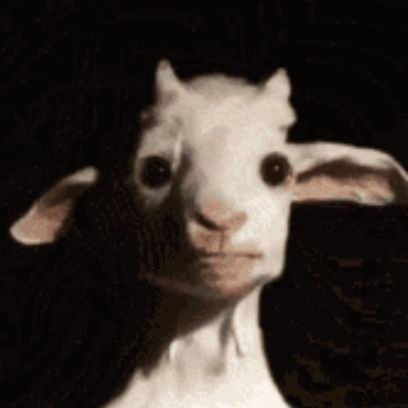 Silber_Ziege's profile picture. Nervtötender Nerd | Hauptsächlich Musik und random Shit  | Selten auch mal Fußball FCU♥️🤍 BHA💙🤍 | Ailton Ultra | Botschafter Brandenburgs |