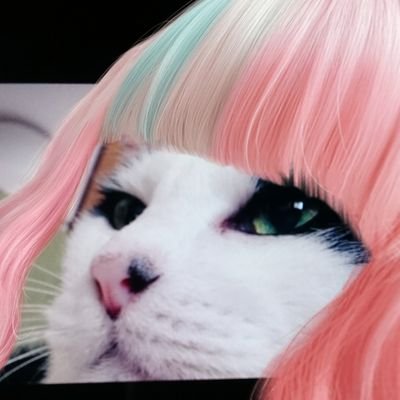 sumomoda🍒すもさんのプロフィール画像