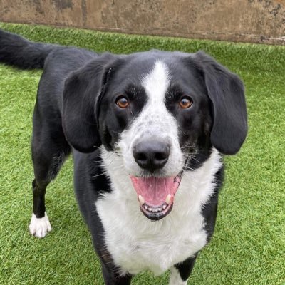 sanmaguire's profile picture. 