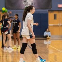 Stephie Regan (@stephier43) 's Twitter Profile