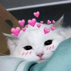 Aureel19's profile picture. 🏳️‍🌈