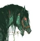 she_brook_horse's profile picture. ♀️ Scary swimming horsie 🐎 Homophobic. Animal advocate. Some flavor of radical feminist.