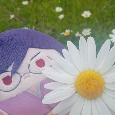 20↑ぬい活写真中心
沖田組、土方組、tnpr、
00、種、Wと雑多になりつつあります。
無言フォロー失礼します。
ただいま体調不良のため低浮上。