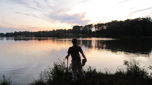 ProfessorNesto's profile picture. I like math, movies, and video games.