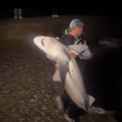 meyusasll's profile picture. Manzaralarımı beyazlara boyayın