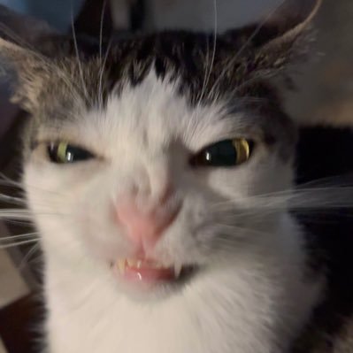 57_a1k1's profile picture. ig: ka5i7_