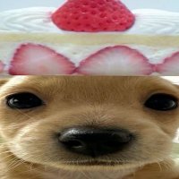 ami (@jetaim3ry) 's Twitter Profile Photo ami (@jetaim3ry) 's Twitter Profile Photo