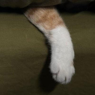 Hitokoto_X's profile picture. illuminate the five Skandhas and saw
照见五蕴