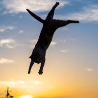 M.mon (@monnawa2) 's Twitter Profile