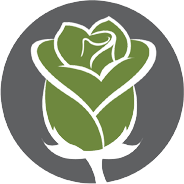 RosesPapers's profile picture. 