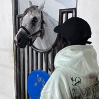 Na Alamri (@arvnc1) 's Twitter Profile