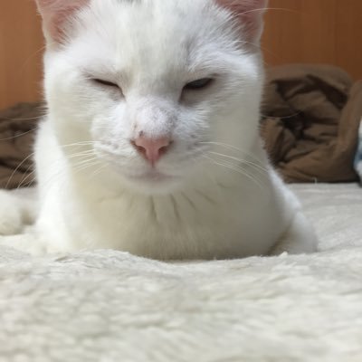 doyu7031uxto's profile picture. 