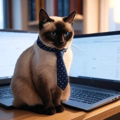 simmsy0101's profile picture. 🫡🫡🫡